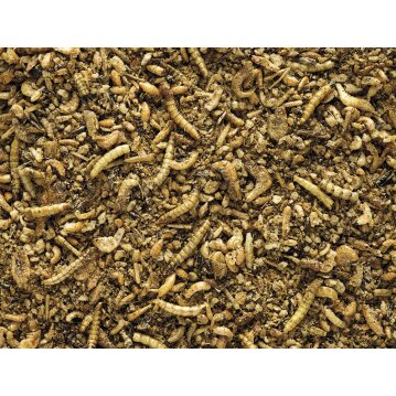 VERSELE LAGA NutriBird Insekt patee Premium