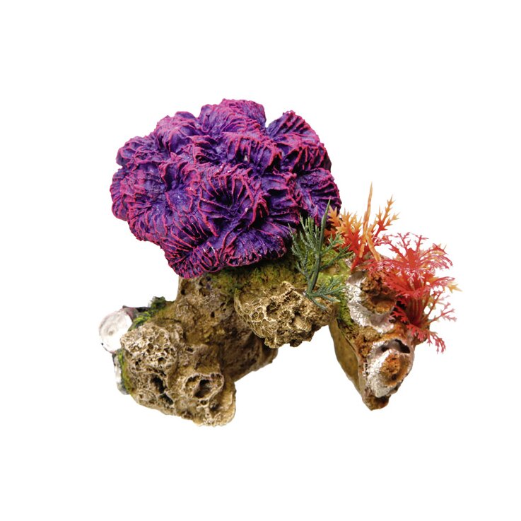 NOBBY Aqua Ornaments "KORALLE" mit Pflanzen