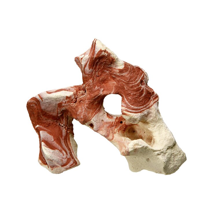 NOBBY Aqua Ornaments "STEIN"