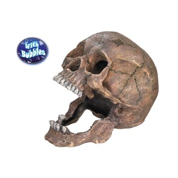 NOBBY Aqua Ornaments "TOTENKOPF", 13,5 x 20 x...