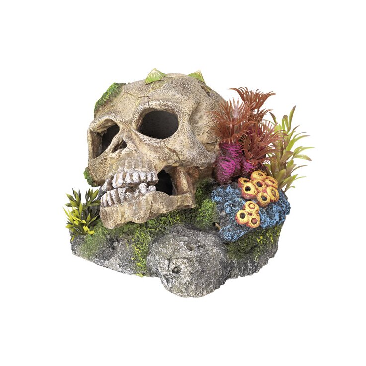 NOBBY Aqua Ornaments "TOTENKOPF" mit Pflanzen