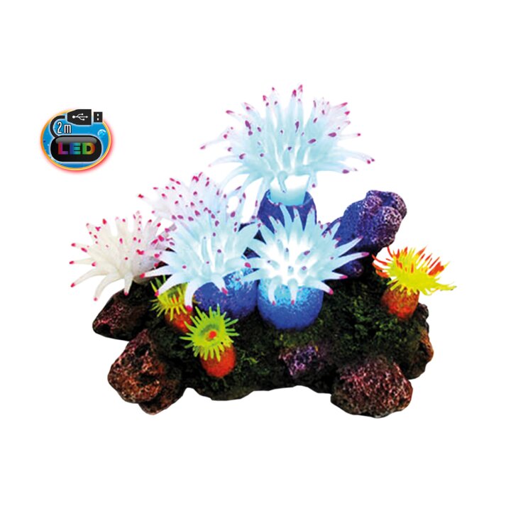 NOBBY Aqua Ornaments "APLYSINA" mit LED
