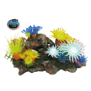 NOBBY Aqua Ornaments "APLYSINA" mit LED