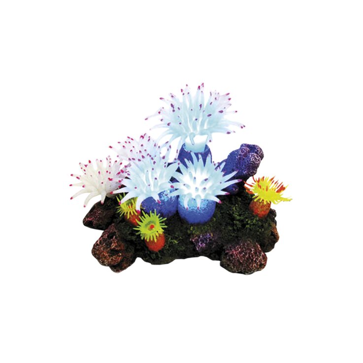 NOBBY Aqua Ornaments "APLYSINA" mit LED, 16,5 x 12 x 11 cm