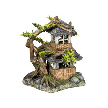 NOBBY Aqua Ornaments "HAUS MIT BONSAI" mit...