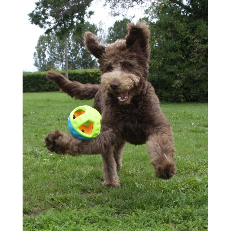 NOBBY TPR Ball "Active", Ø 13 cm