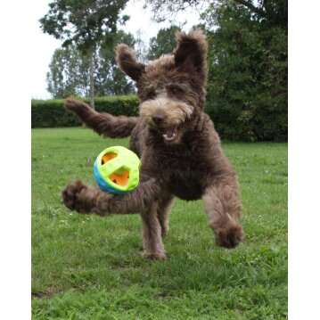 NOBBY TPR Ball "Active", Ø 13 cm