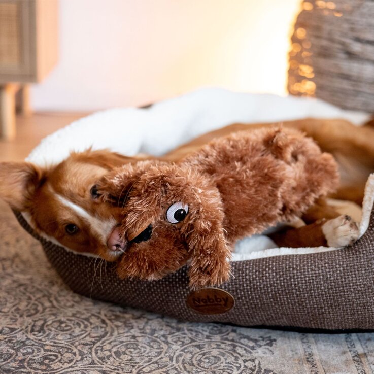 NOBBY Hundespielzeug Plüsch Hund "Schlappi"