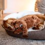NOBBY Hundespielzeug Plüsch Hund "Schlappi"