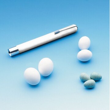 NOBBY Eierdurchleuchter