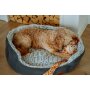 NOBBY Hunde-Komfort Bett "CACHO", oval