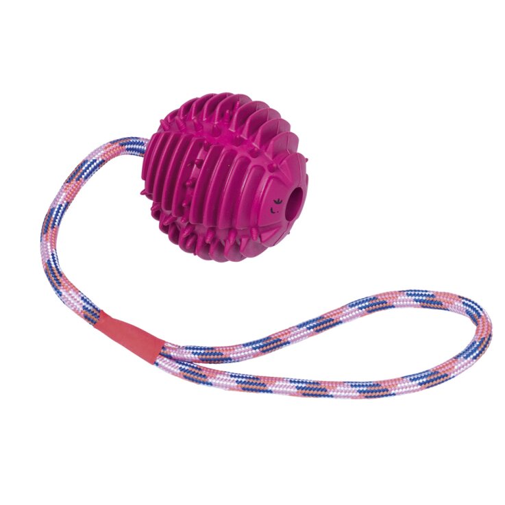 NOBBY Vollgummi Ball mit Seil, lila, Ø 7,5 cm, mit Seil 30 cm