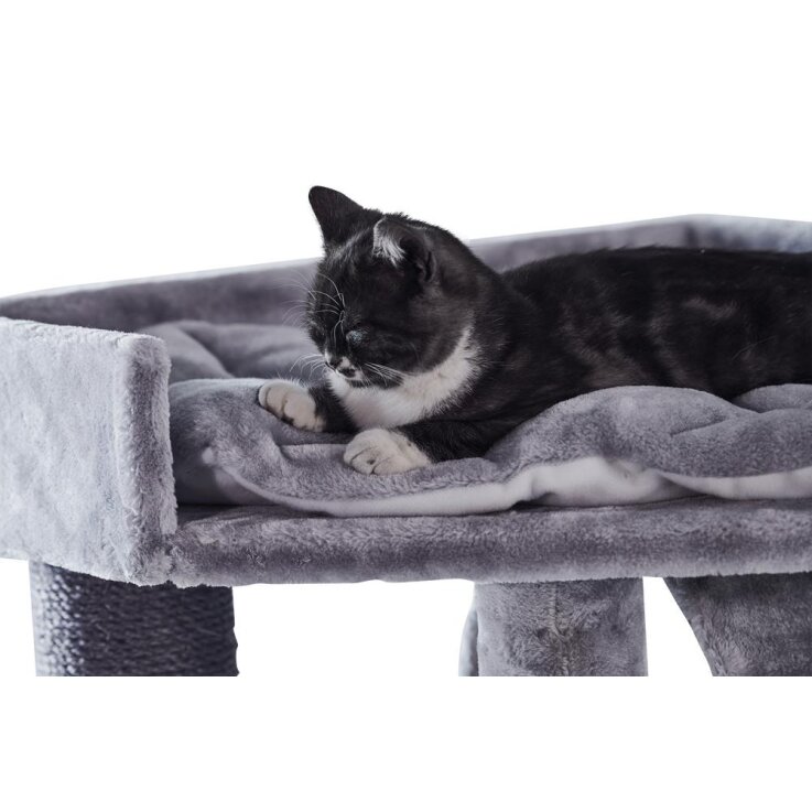 NOBBY Kratzbaum "ADILE", grau, 166 cm hoch