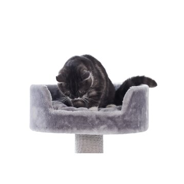 NOBBY Kratzbaum Classic "ZERA", grau, 50 x 50 x...