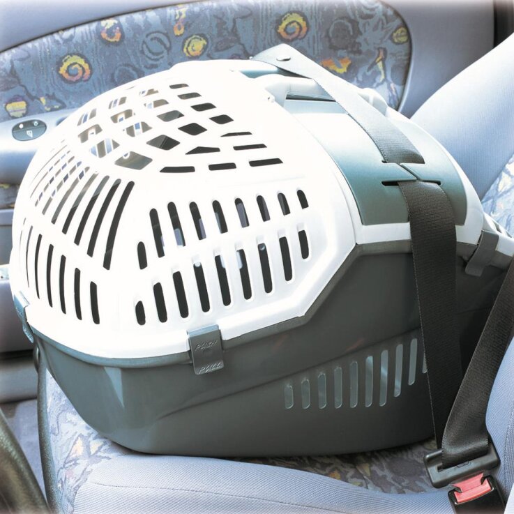 NOBBY Transportbox "Avior" grau, 57,5 x 39,5 x 40,5 cm