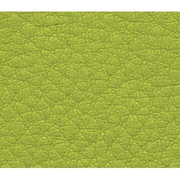 WOLTERS Führleine Terravita flach Apfel Länge:...