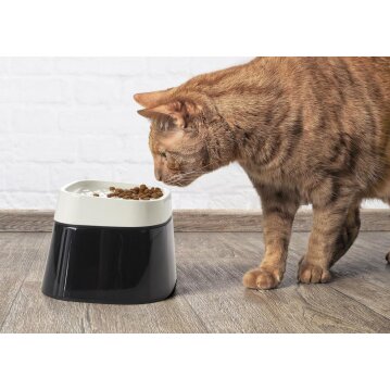 NOBBY Ergo Cube Food, schwarz, 22 x 22  x 16 cm