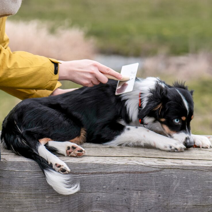 NOBBY Nature Line Rupfbürste