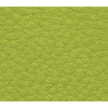 WOLTERS Halsband Terravita flach apfel Gr. 50cm x 30mm