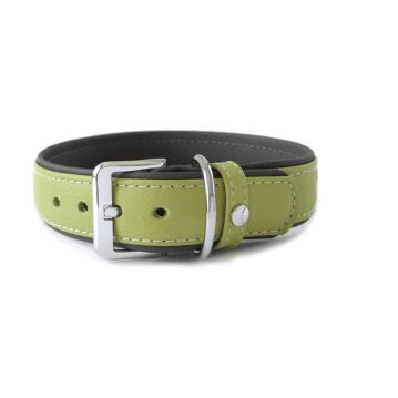 Hundehalsband Amsterdam Lime / Lava Breite 30 mm /...