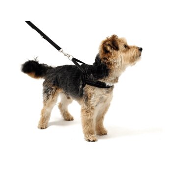 WOLTERS Geschirr Soft & Safe reflektierend schwarz...