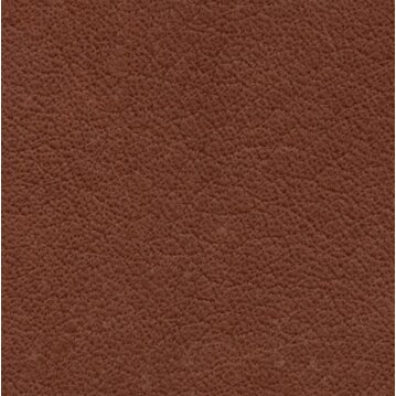 WOLTERS Führleine Terravita - flach 200cm x 12mm...