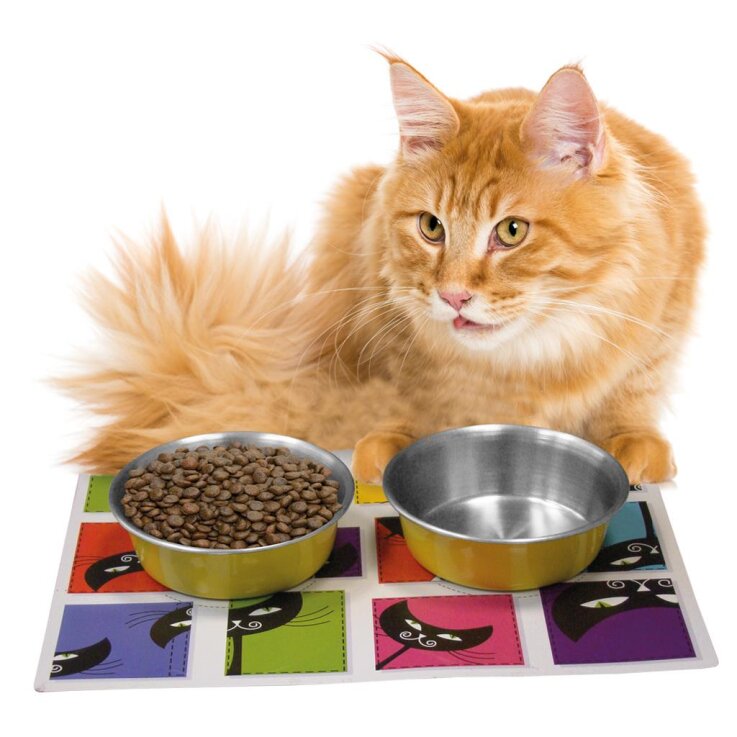 NOBBY "MAGNETIC"-Set S, bunt, 2 x 11 cm