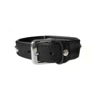 Leder Halsband 60 cm, 35 mm, schwarz, Roma