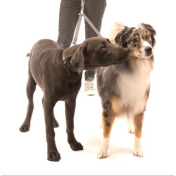 WOLTERS Koppel Professional graphite, Größe: M...