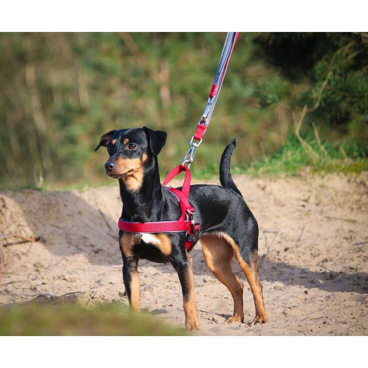 NOBBY Norwegergeschirr "Classic Preno Royal"