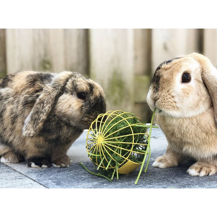 NOBBY  Spiel- und Futterball, verschiedene Farben, Ø 10 cm