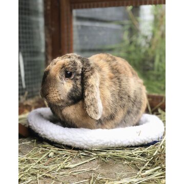 NOBBY  Flauschbett für Nager, beige, 30 x 26 cm