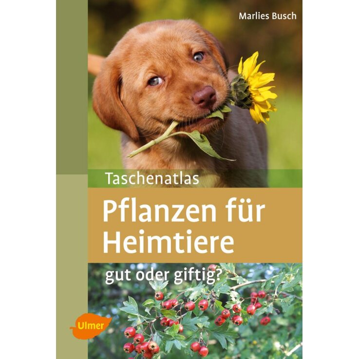 NOBBY Buch: Pflanzen für Heimtiere, Marlies Busch