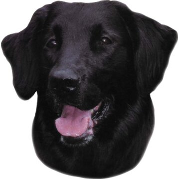 Aufkleber Flat Coated Retriever