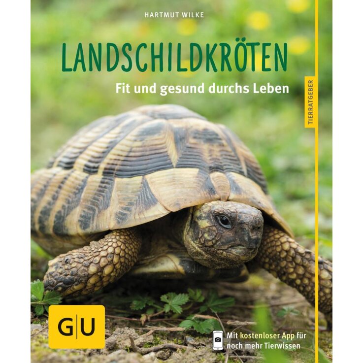Landschildkröten, glücklich & gesund