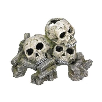 NOBBY Aqua Ornaments "TOTENKÖPFE", 23 x 16...