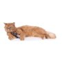 HUNTER  Katzenspielzeug Elroy Hund, 20 cm