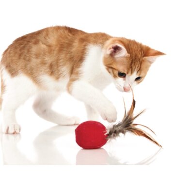 HUNTER Katzenball "Smart Feather", Ø 5 cm