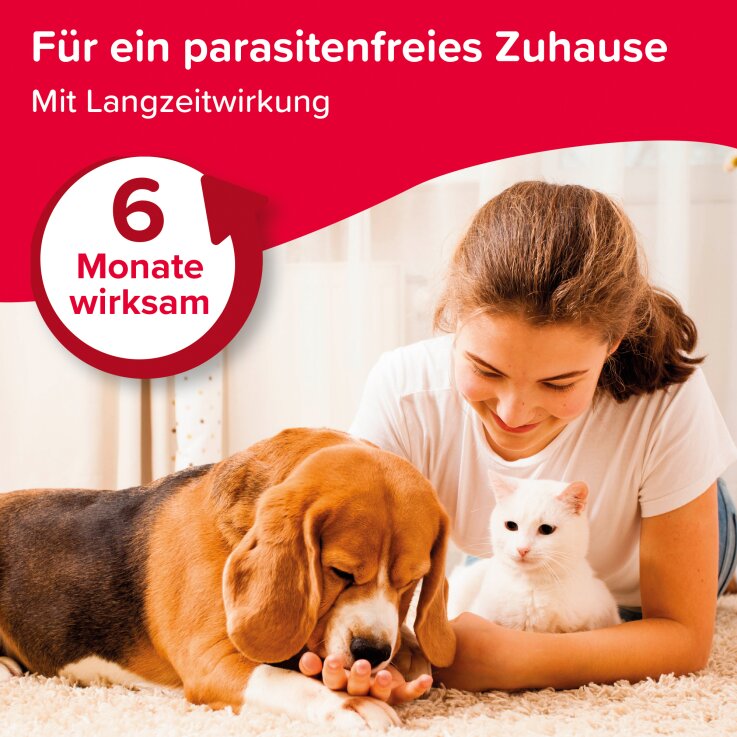 BEAPHAR Protecto Fogger Insekten-Vernebler, 2 x 75 ml