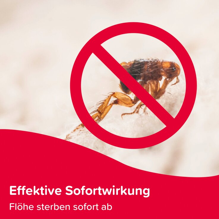 BEAPHAR Protecto Fogger Insekten-Vernebler, 2 x 75 ml