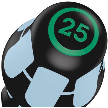 WERA 3367 TORX® Schraubendreher, Edelstahl