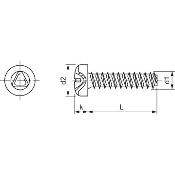Gewindeführende Linsenschraube M 5 x12 PZ2 DIN7500C