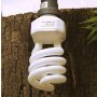 JBL Energiesparlampe für Regenwaldterrarien, E27, ReptilJungle Daylight