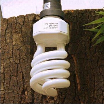 JBL ReptilJungle UV Light 23 Watt