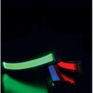 KARLIE Flamingo oLED Leine mit USB Ladegerät Pink...