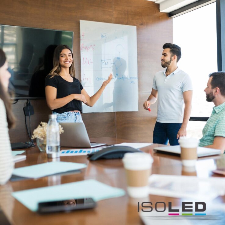 ICONIC Dekorglas-Infrarotheizung 750, 90x70cm, 600W